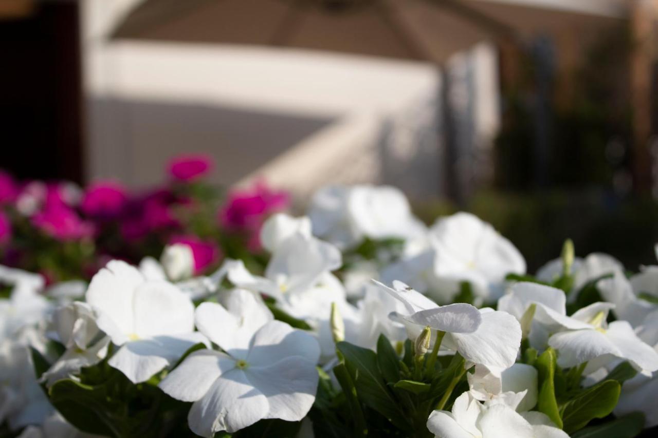 Relais Villa Montedonzelli Наполи Екстериор снимка