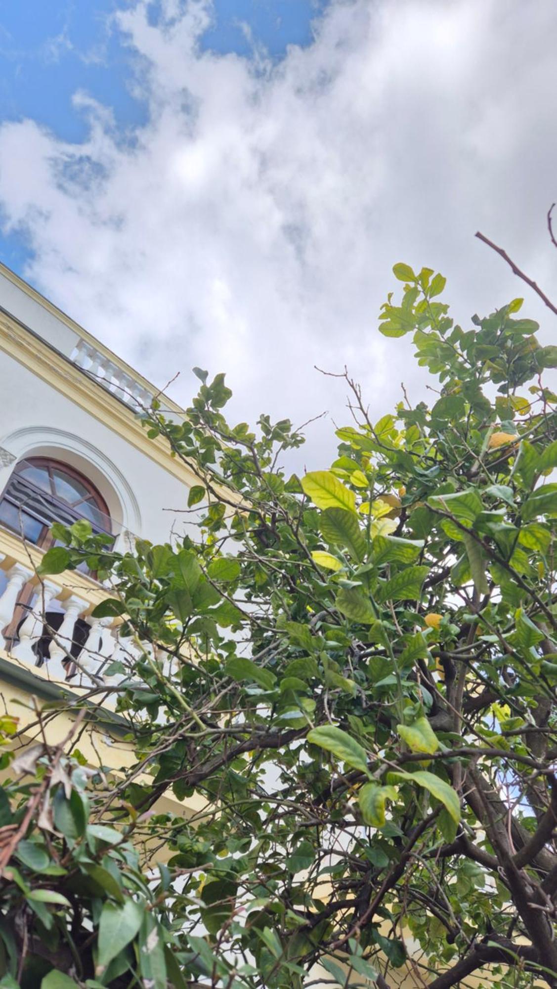 Relais Villa Montedonzelli Наполи Екстериор снимка